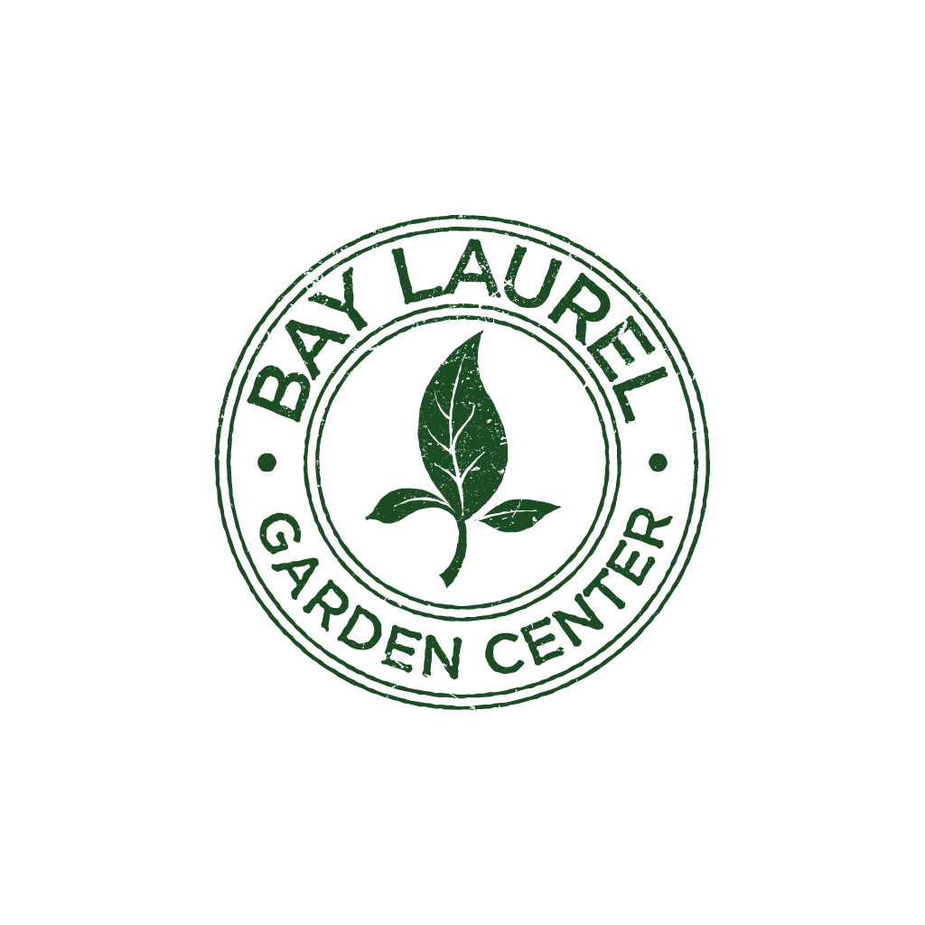 Diseño de Logo por JohnnyCactus para este proyecto | Diseño #36830802