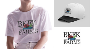 Logo Design by Designz Zone