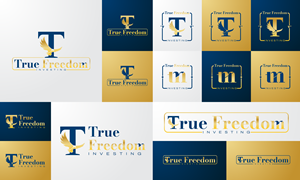 Logo Design by Daud Nadeem for this project | Design: #36815959