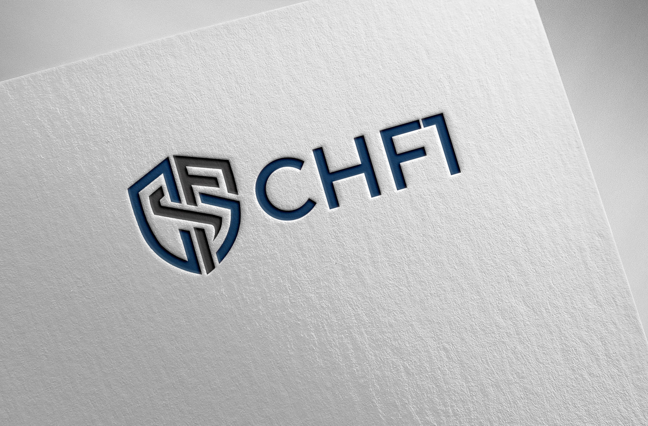 Logo Design by Pilot_DesignR™ for this project | Design #36823057