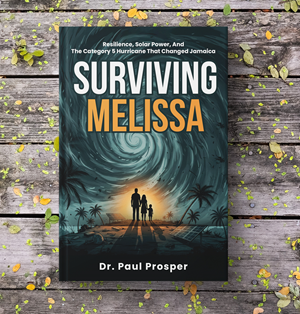 Book Cover Design by WrapTonic24 for Prosperous Investments, LLC | Design: #36927342