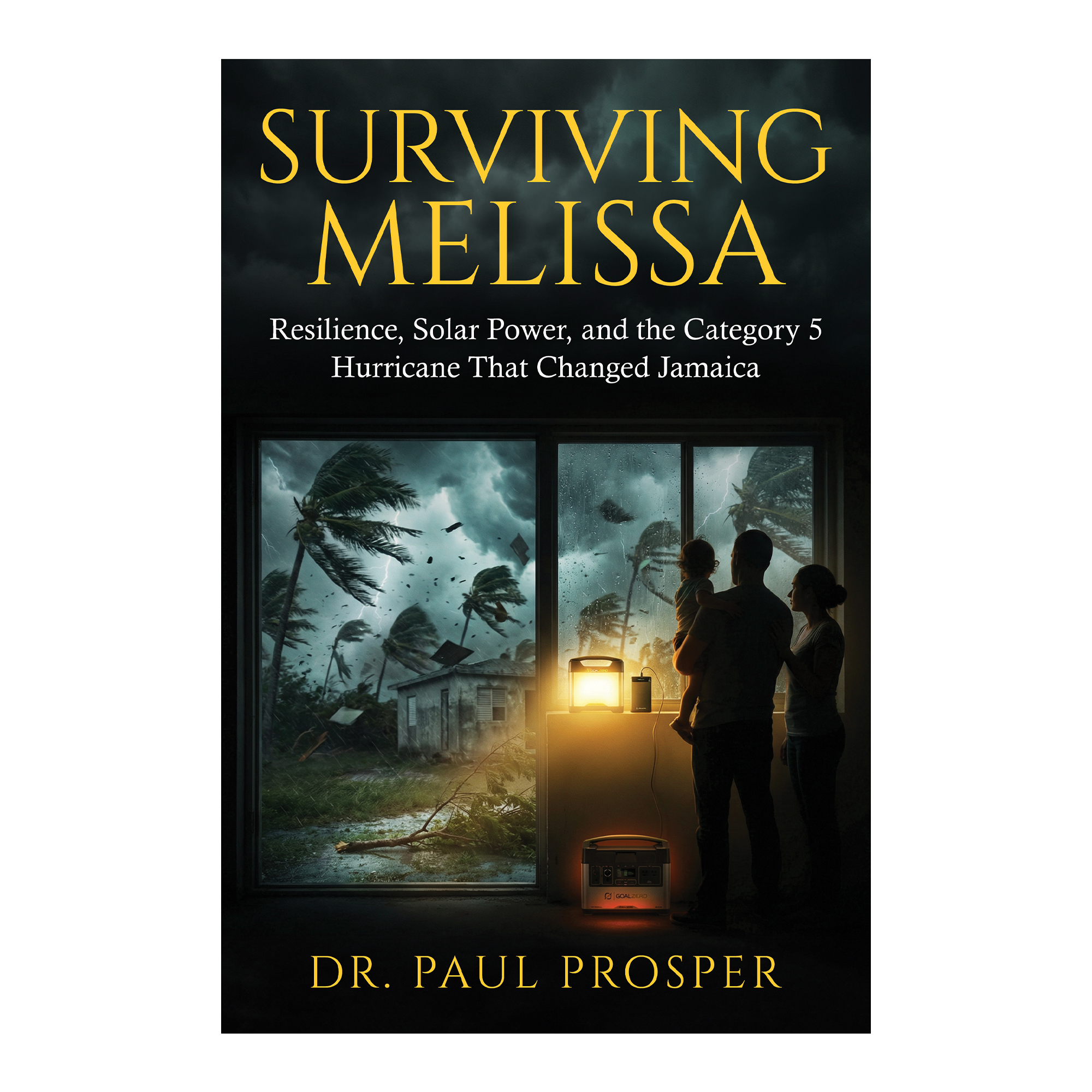 Book Cover Design by G T for Prosperous Investments, LLC | Design #36914523