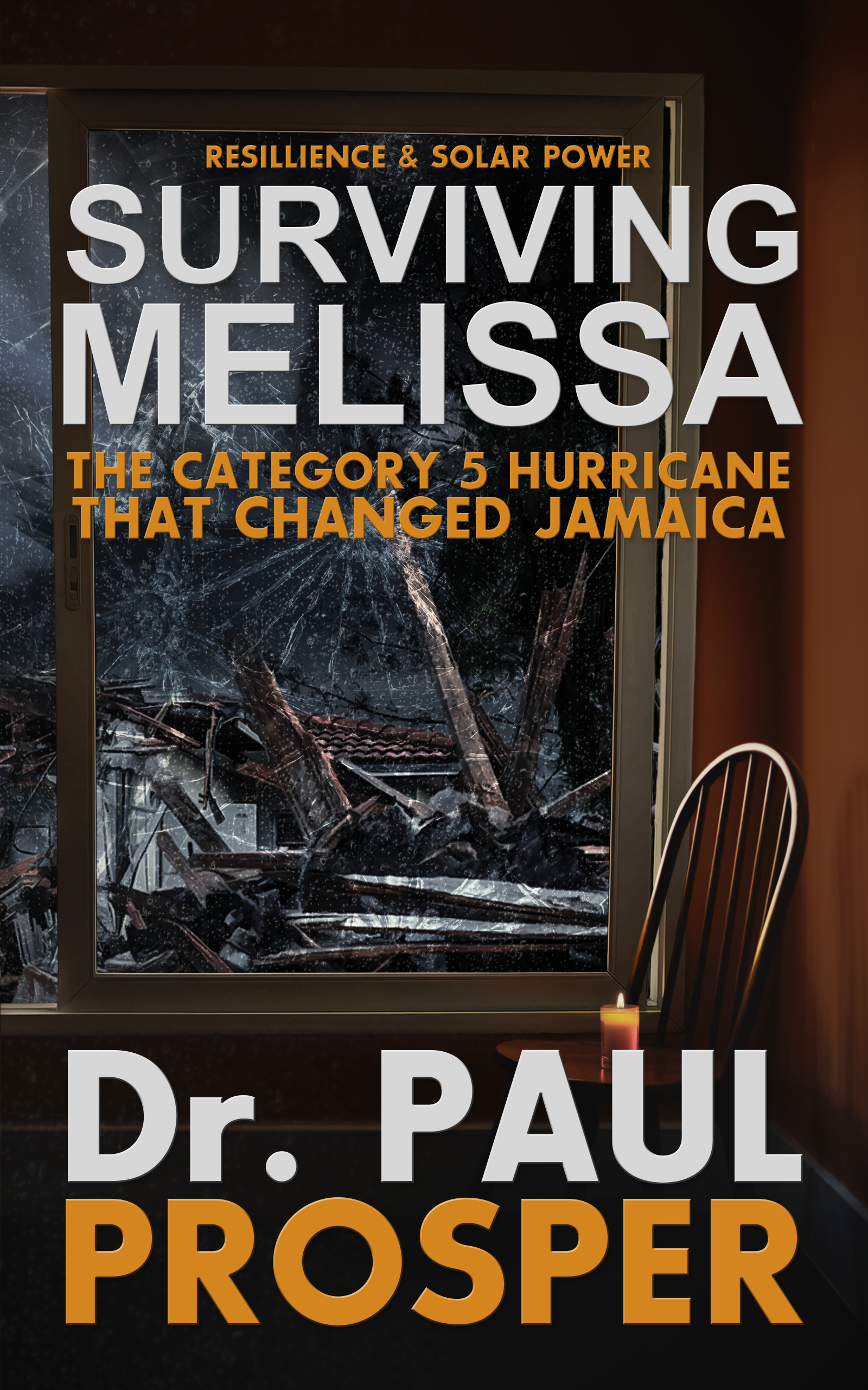 Book Cover Design by Nordic Designer for Prosperous Investments, LLC | Design #36901835