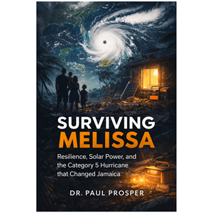 Book Cover Design by rainbowmagic2017 for Prosperous Investments, LLC | Design #36916531