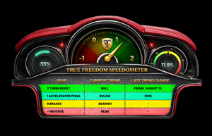 True Freedom Speedometer