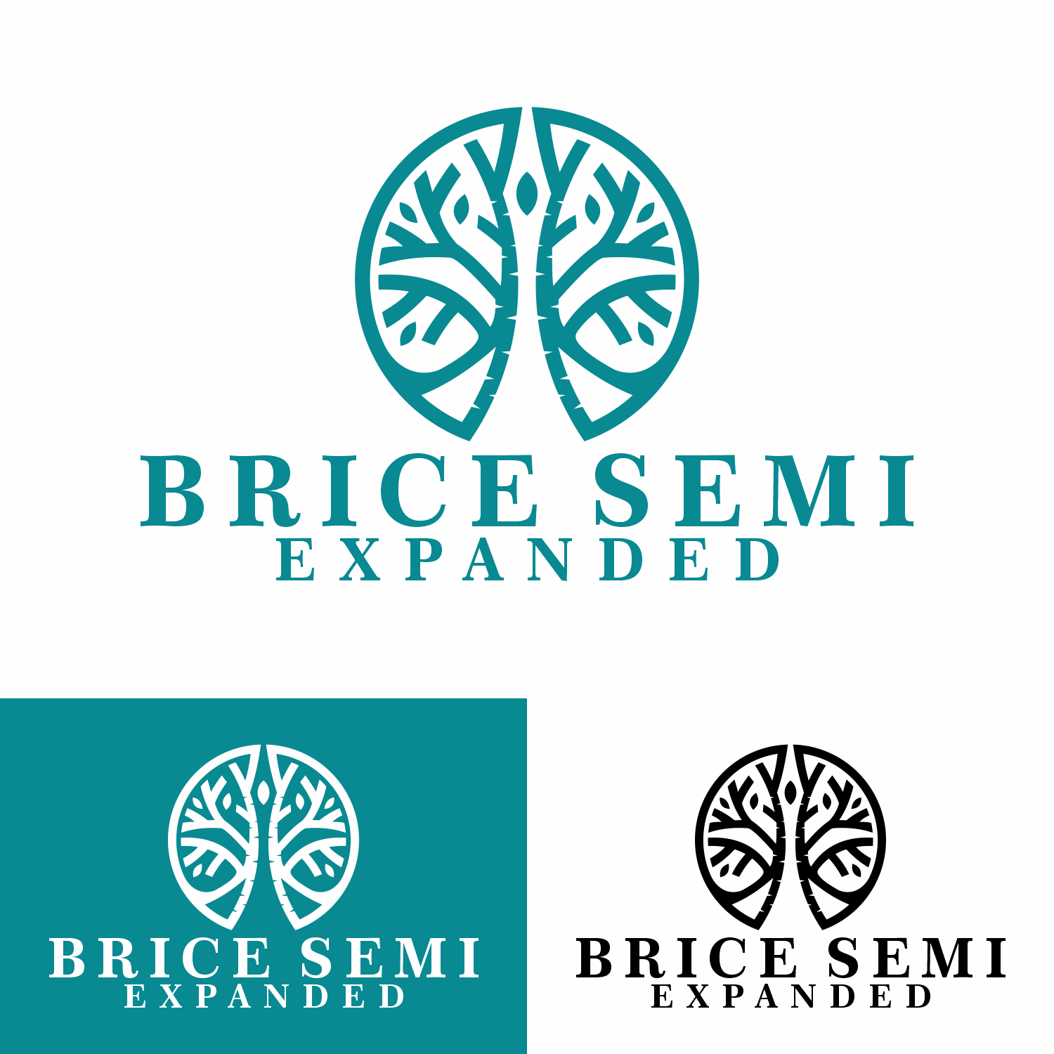 Logo Design by franky19c for Birch Island Collective | Design #36842675