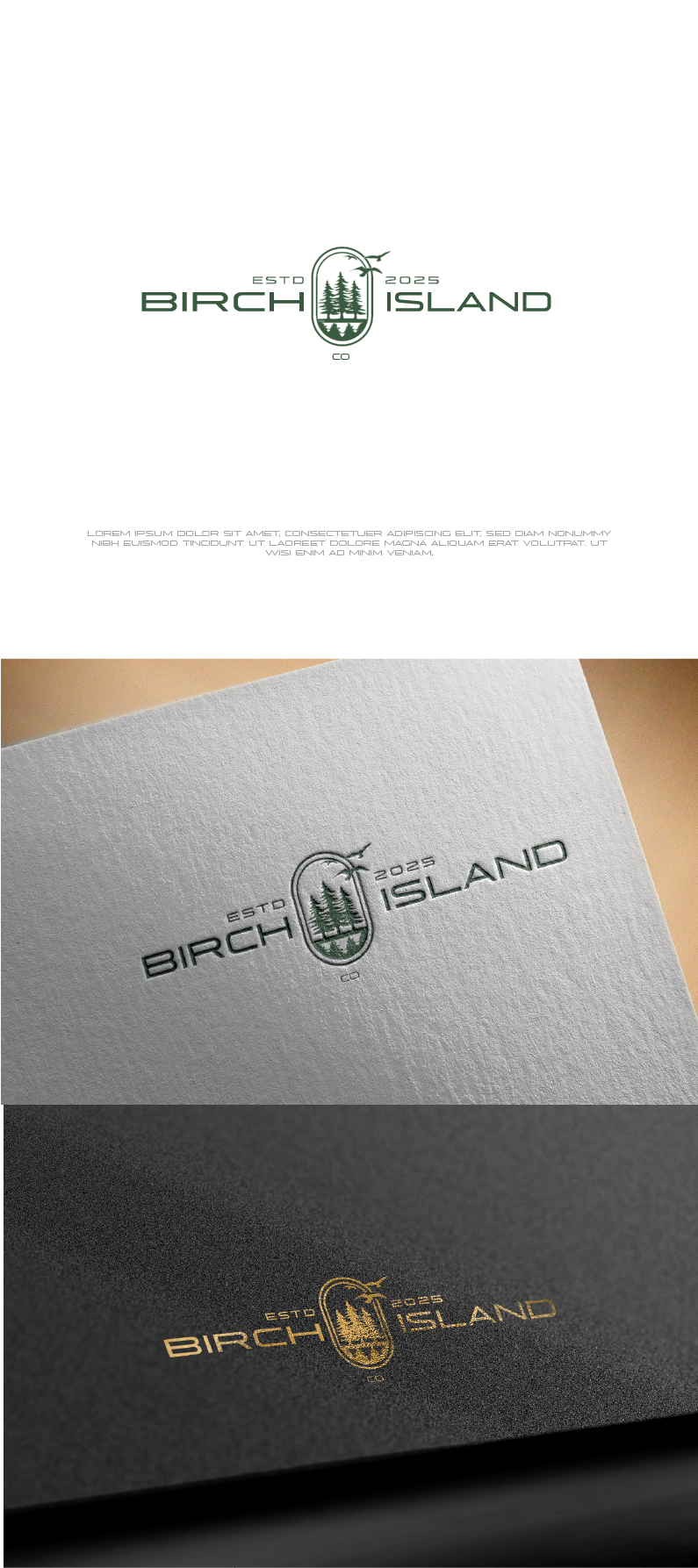 Logo Design by saifysyed Studio for Birch Island Collective | Design #36857018