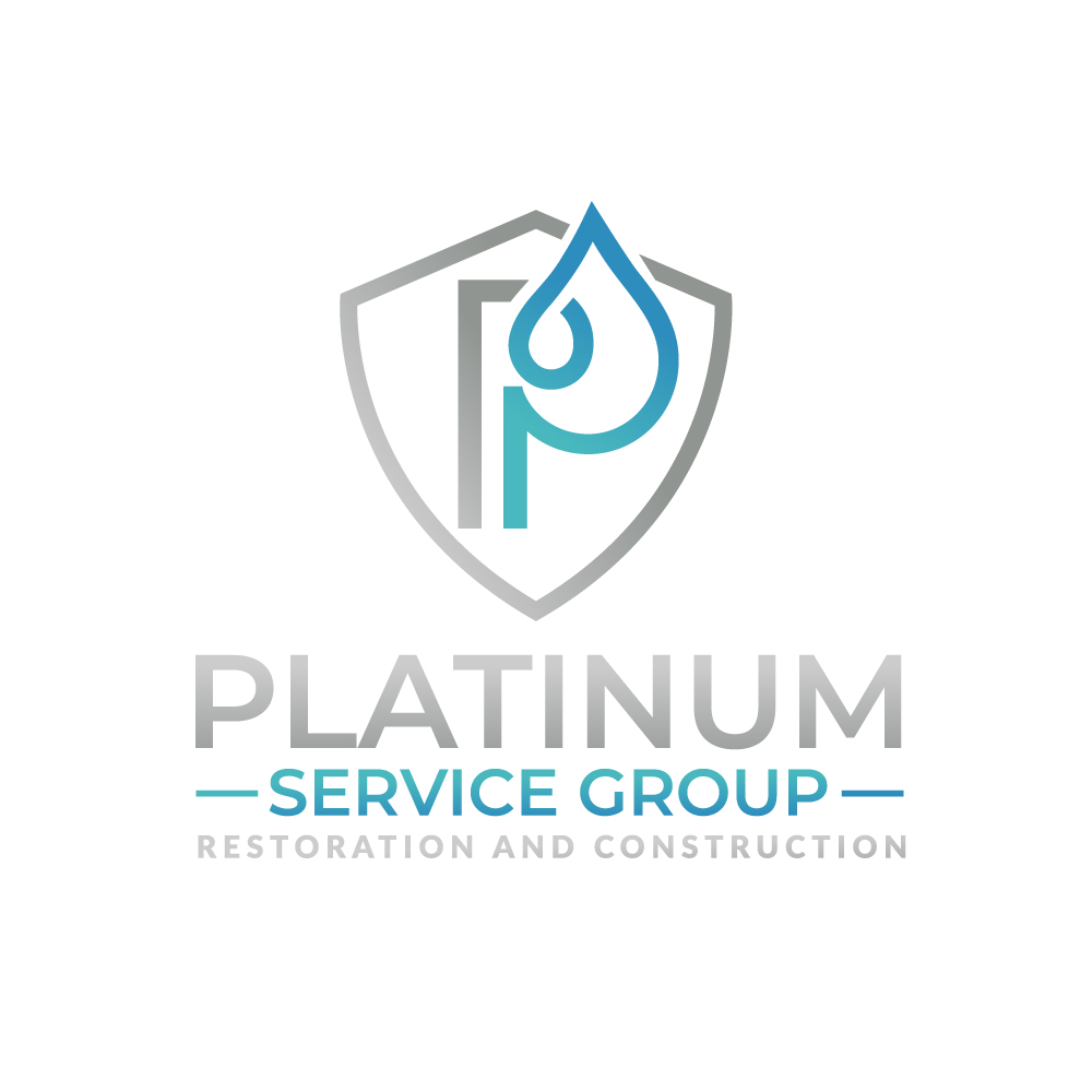 Logo Design by IndoProDesainer for this project | Design #36852501