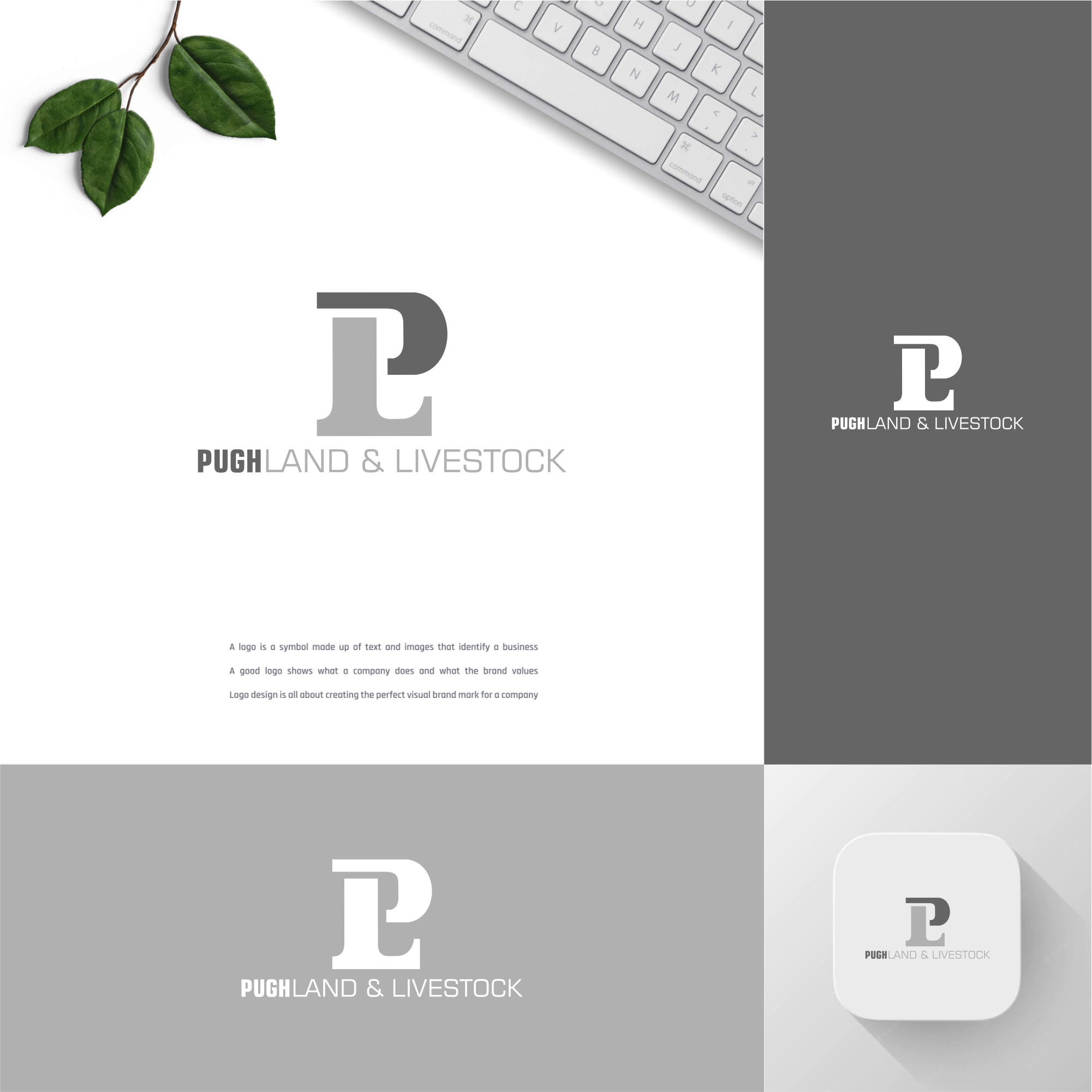 Design de Logo par Dembol 2 pour ce projet | Design #36864830