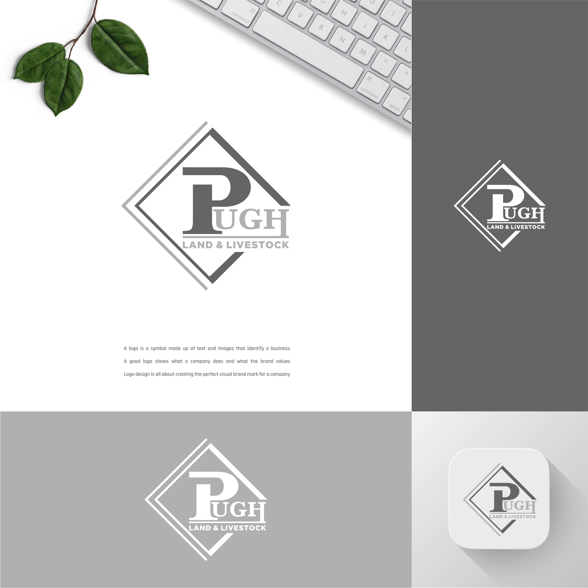 Design de Logo par Dembol 2 pour ce projet | Design #36864831