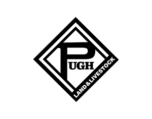 Design de Logo par LUTNG. pour ce projet | Design : #36892887