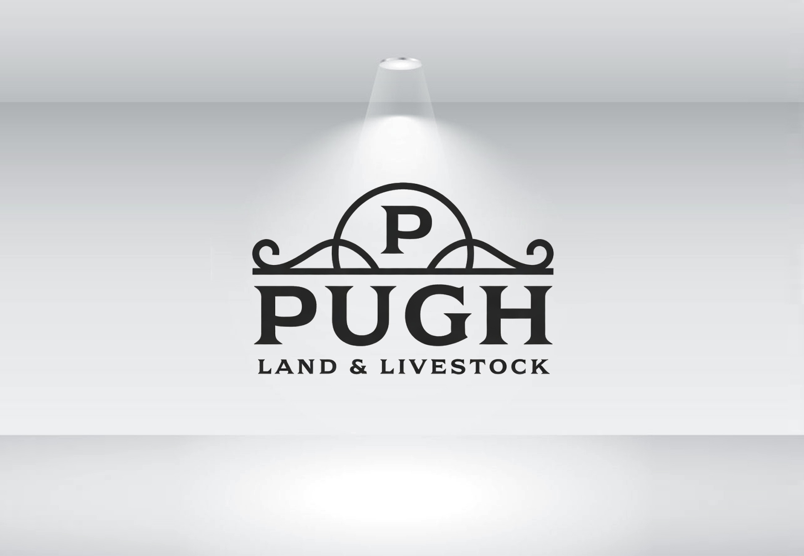 Design de Logo par Nova Creative Designs pour ce projet | Design #36871285