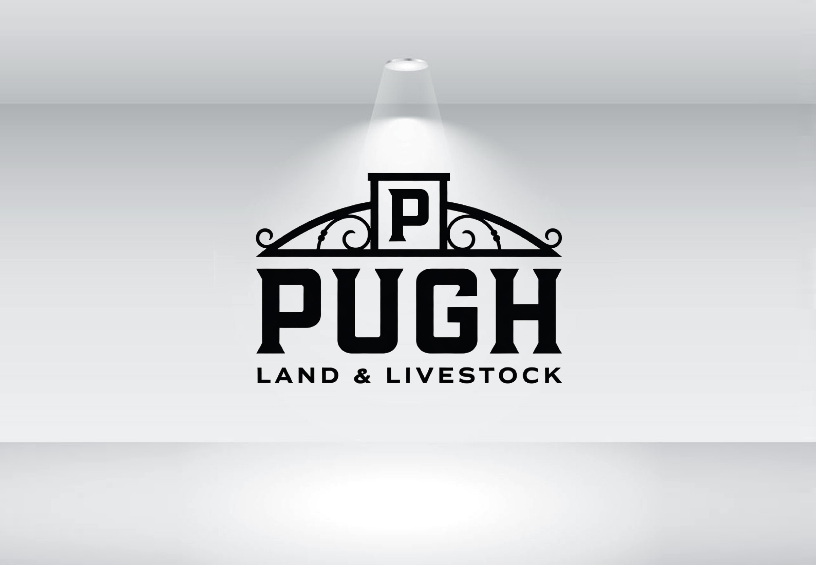 Design de Logo par Nova Creative Designs pour ce projet | Design #36871286