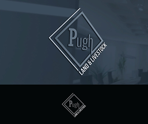 Design de Logo par Srk pix!14 pour ce projet | Design : #36867208