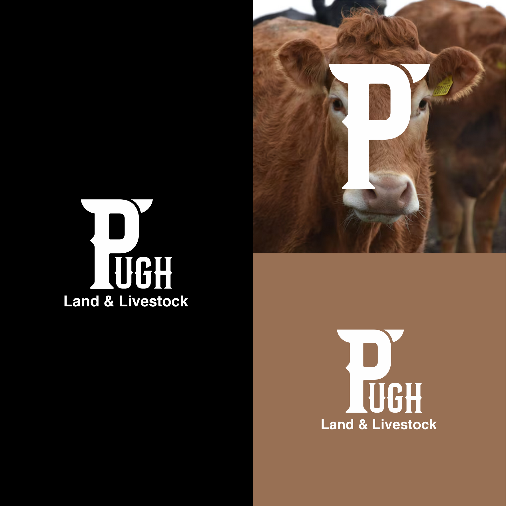 Design de Logo par sabina aiko pour ce projet | Design #36886581