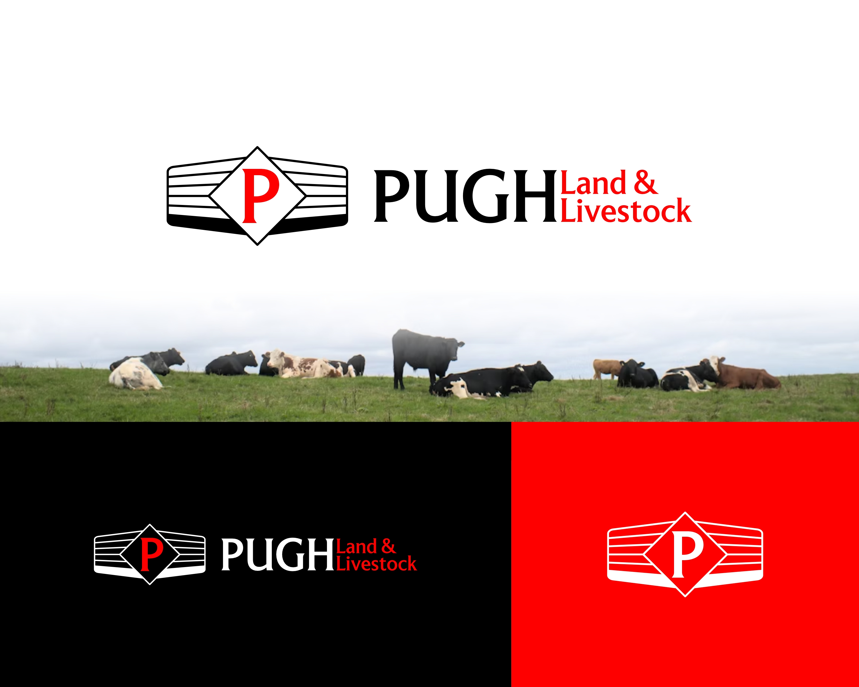 Design de Logo par 37arts pour ce projet | Design #36859071