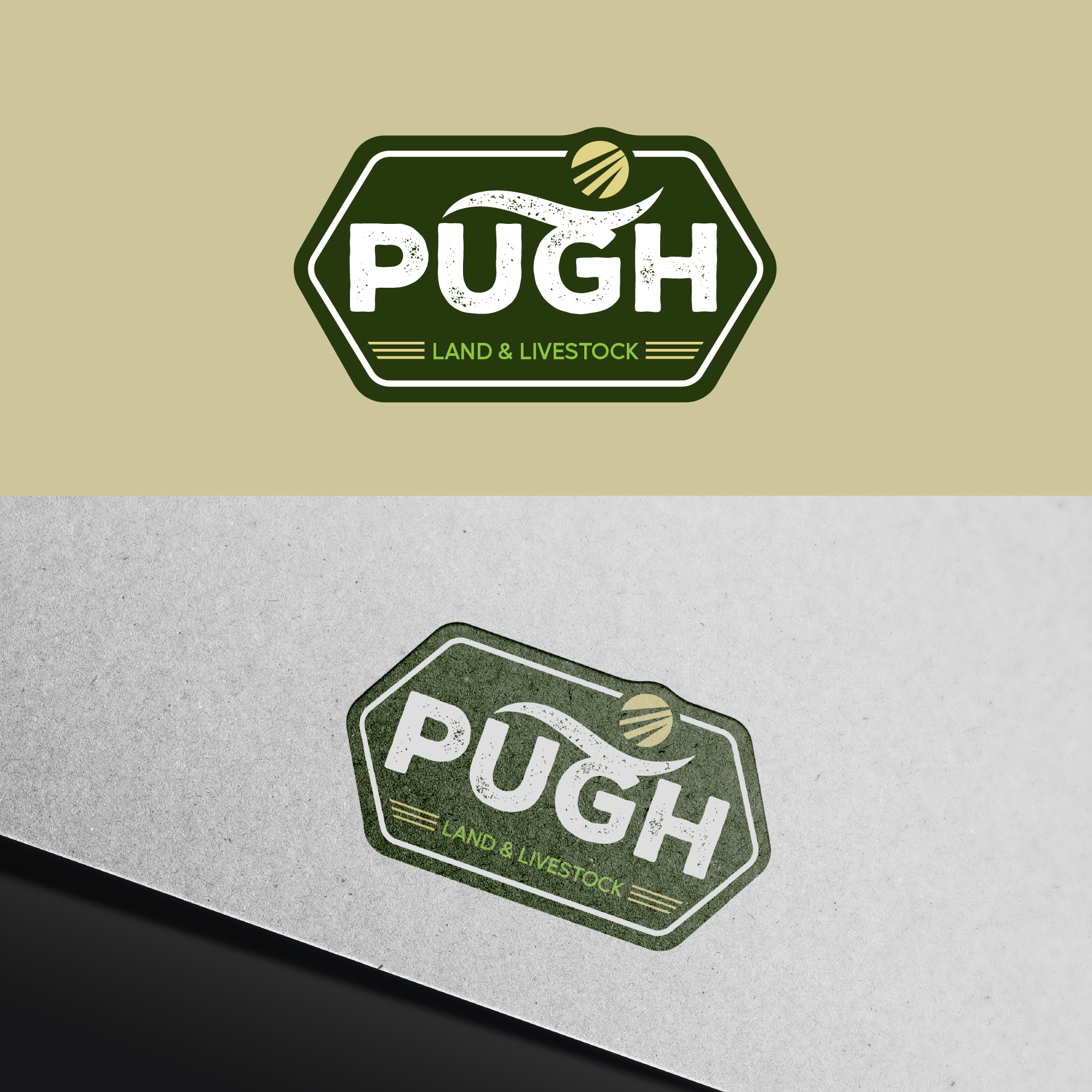 Design de Logo par Talha Ahmad pour ce projet | Design #36861434