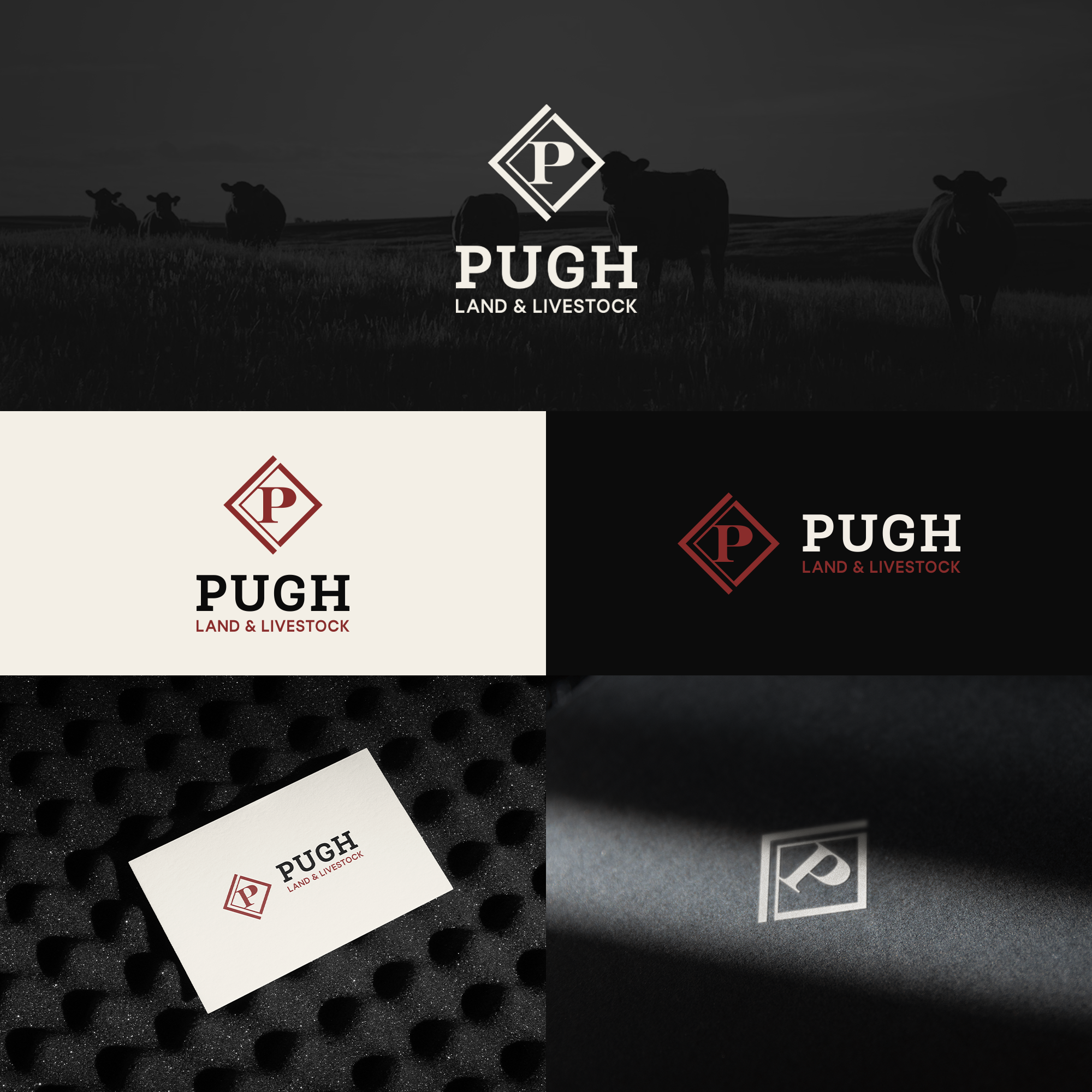 Design de Logo par MH91 pour ce projet | Design #36863975