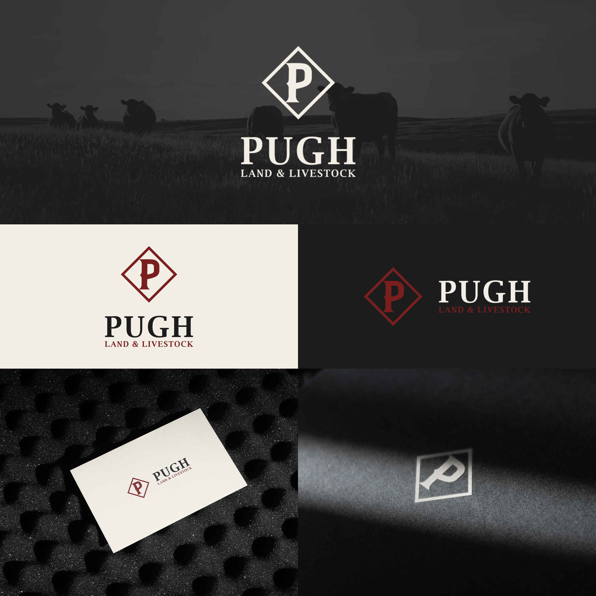 Design de Logo par MH91 pour ce projet | Design #36882366