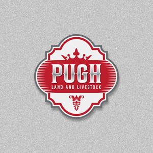 Design de Logo par circledsg pour ce projet | Design : #36858130