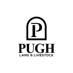 Design de Logo par Krold IT Solutions pour ce projet | Design : #36859230