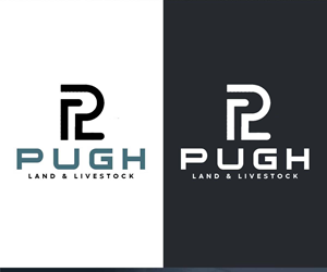 Design de Logo par SANJU1 pour ce projet | Design : #36872685