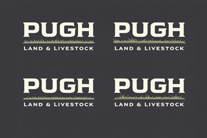 Design de Logo par ForgeDesign pour ce projet | Design : #36875459