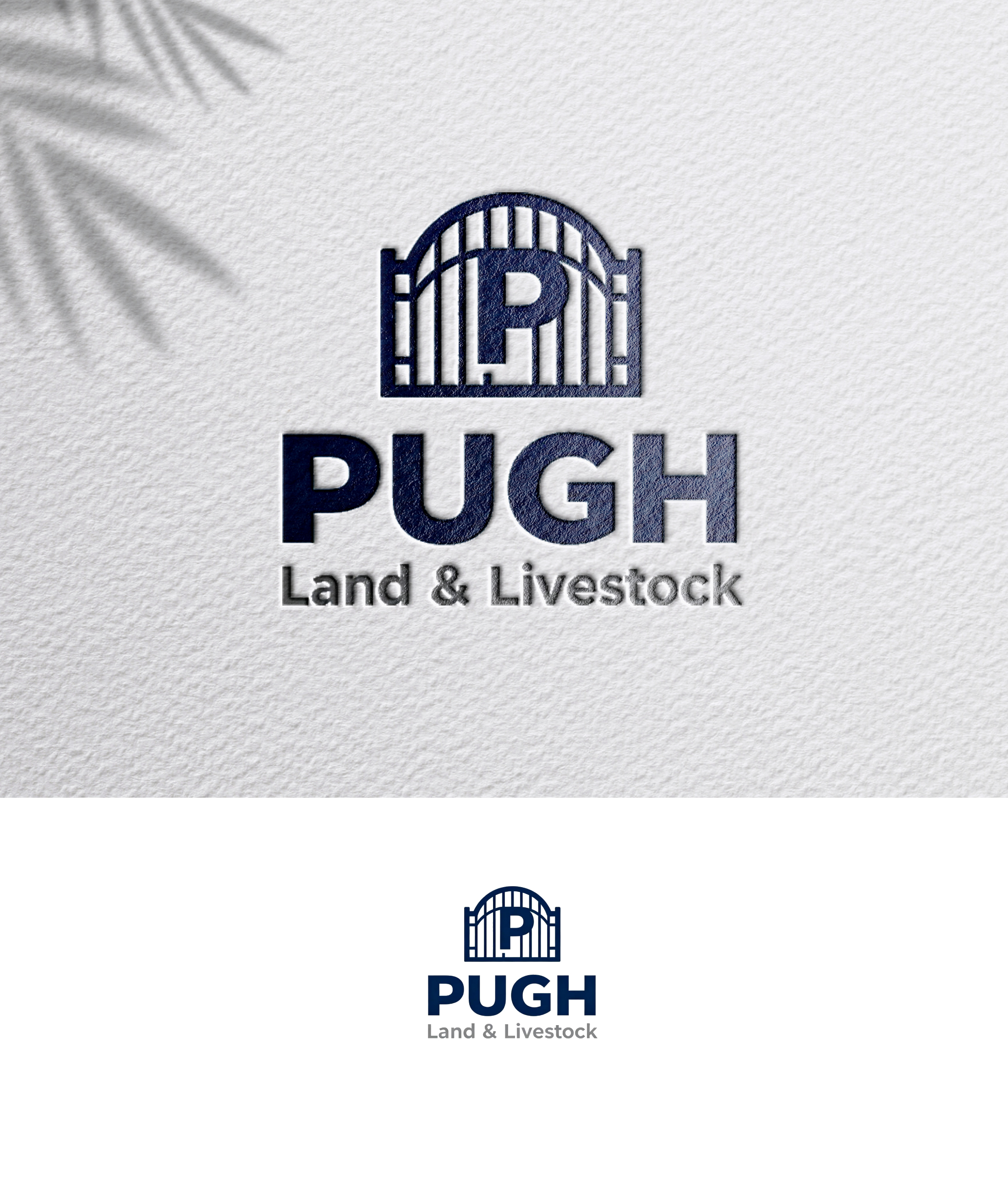 Design de Logo par zoyario pour ce projet | Design #36863005