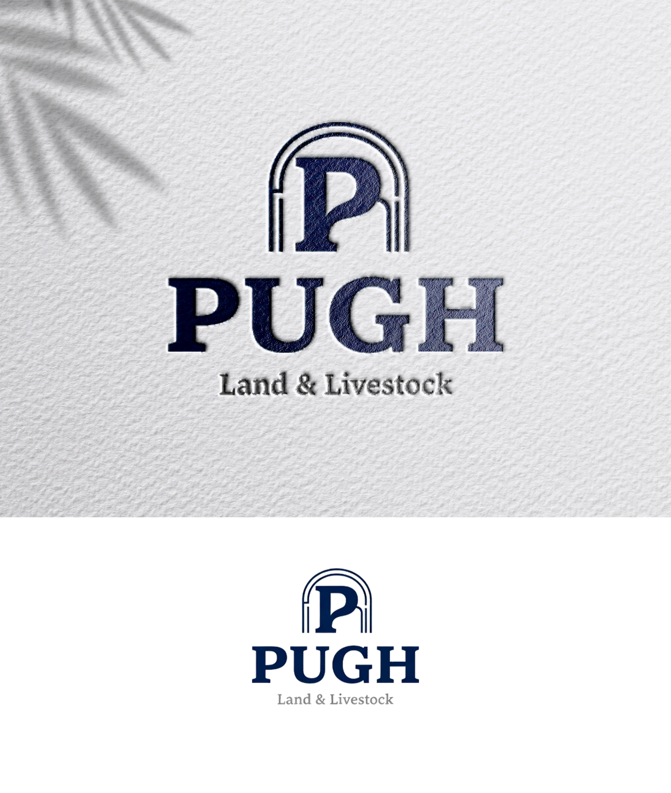 Design de Logo par zoyario pour ce projet | Design #36863007