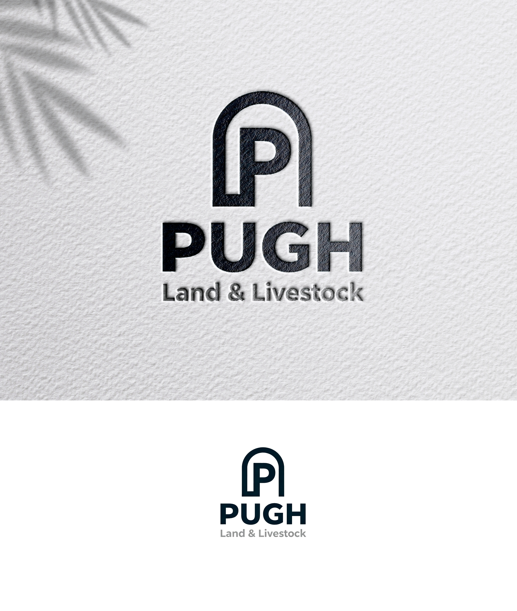 Design de Logo par zoyario pour ce projet | Design #36863009