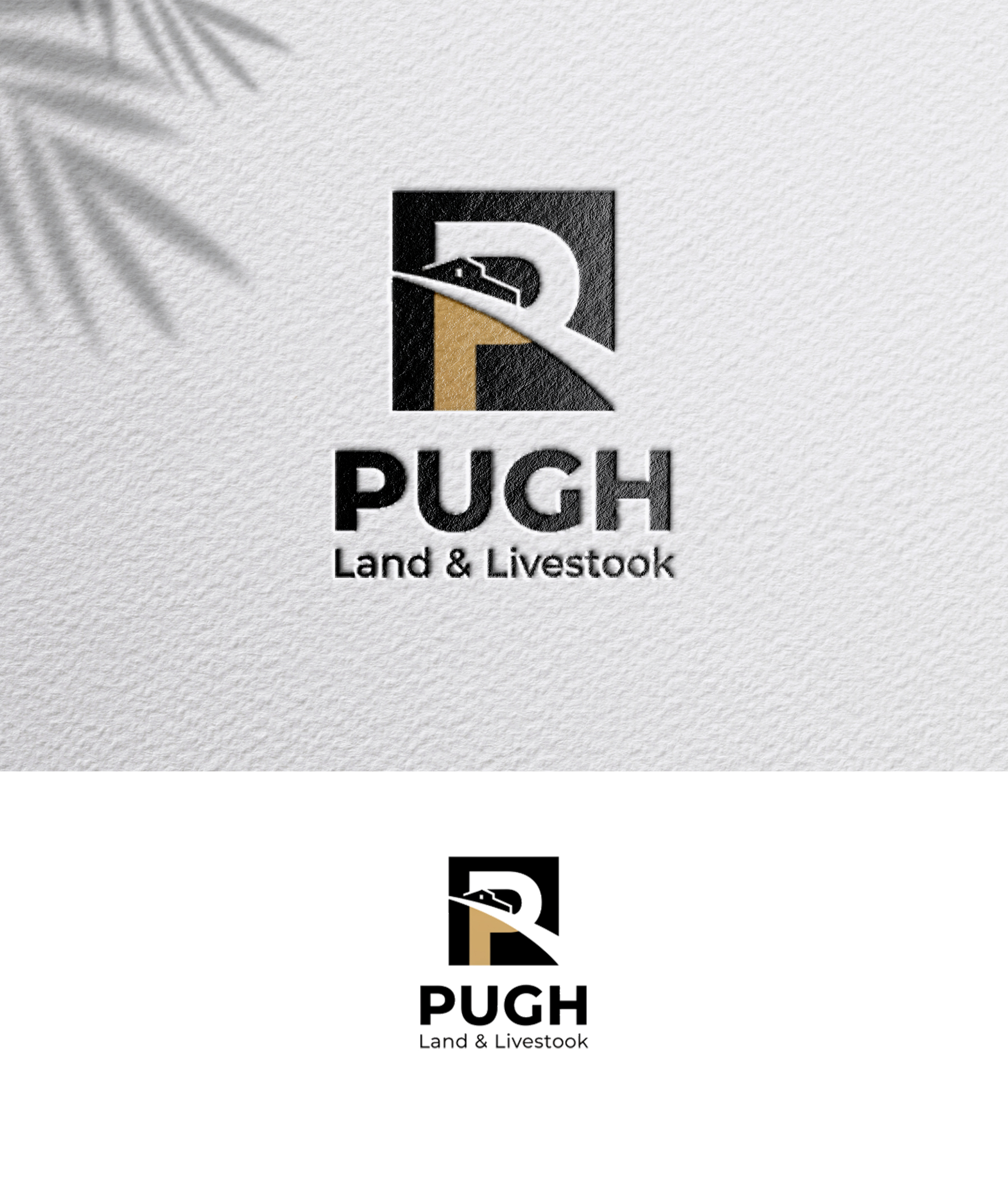 Design de Logo par zoyario pour ce projet | Design #36863016