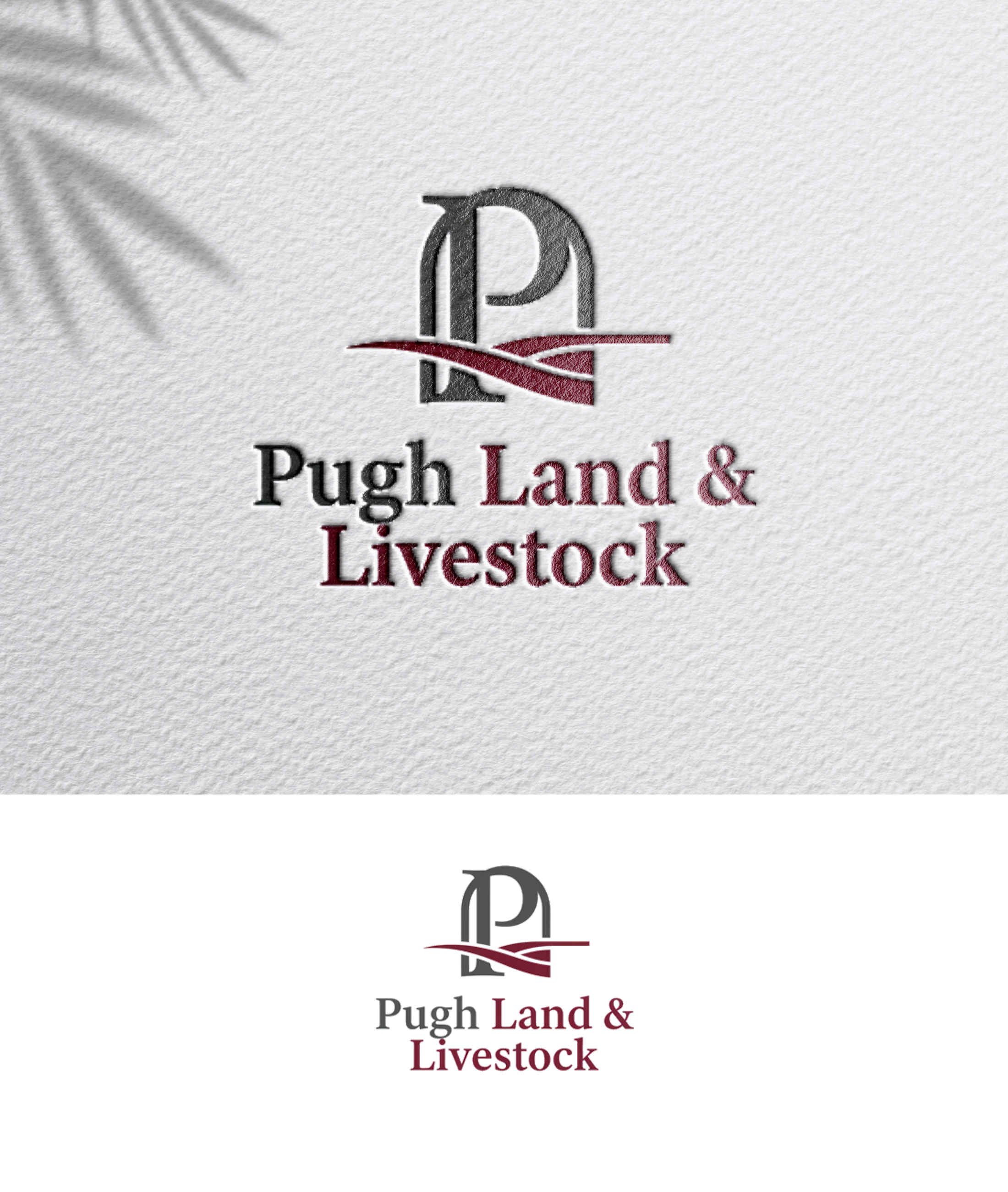 Design de Logo par zoyario pour ce projet | Design #36863018