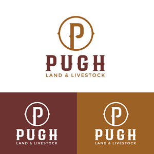 Design de Logo par Design Reflector pour ce projet | Design : #36863208