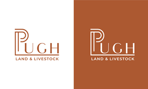 Design de Logo par UAD DESIGNS pour ce projet | Design : #36874171