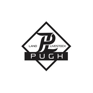 Logo-Design von ares_h1 für dieses Projekt | Design #36863050