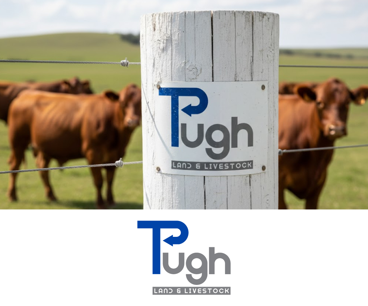 Design de Logo par Ansh Design pour ce projet | Design #36860938