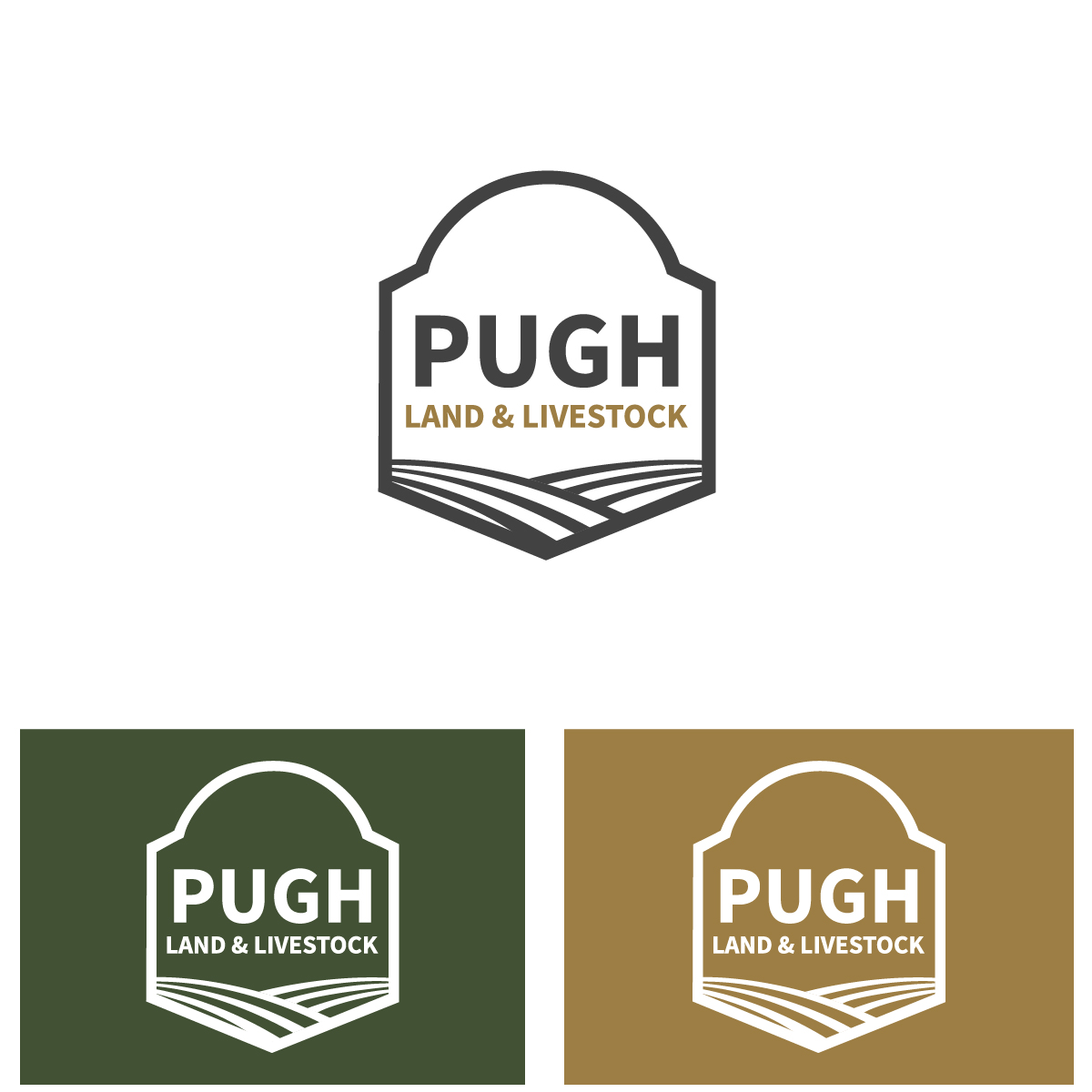 Design de Logo par KajalRekha pour ce projet | Design #36861265