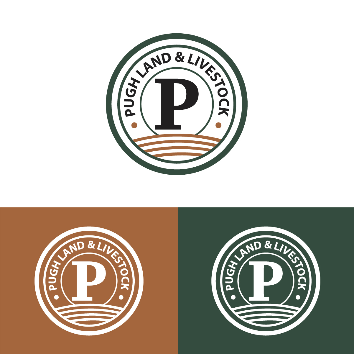 Design de Logo par KajalRekha pour ce projet | Design #36861269