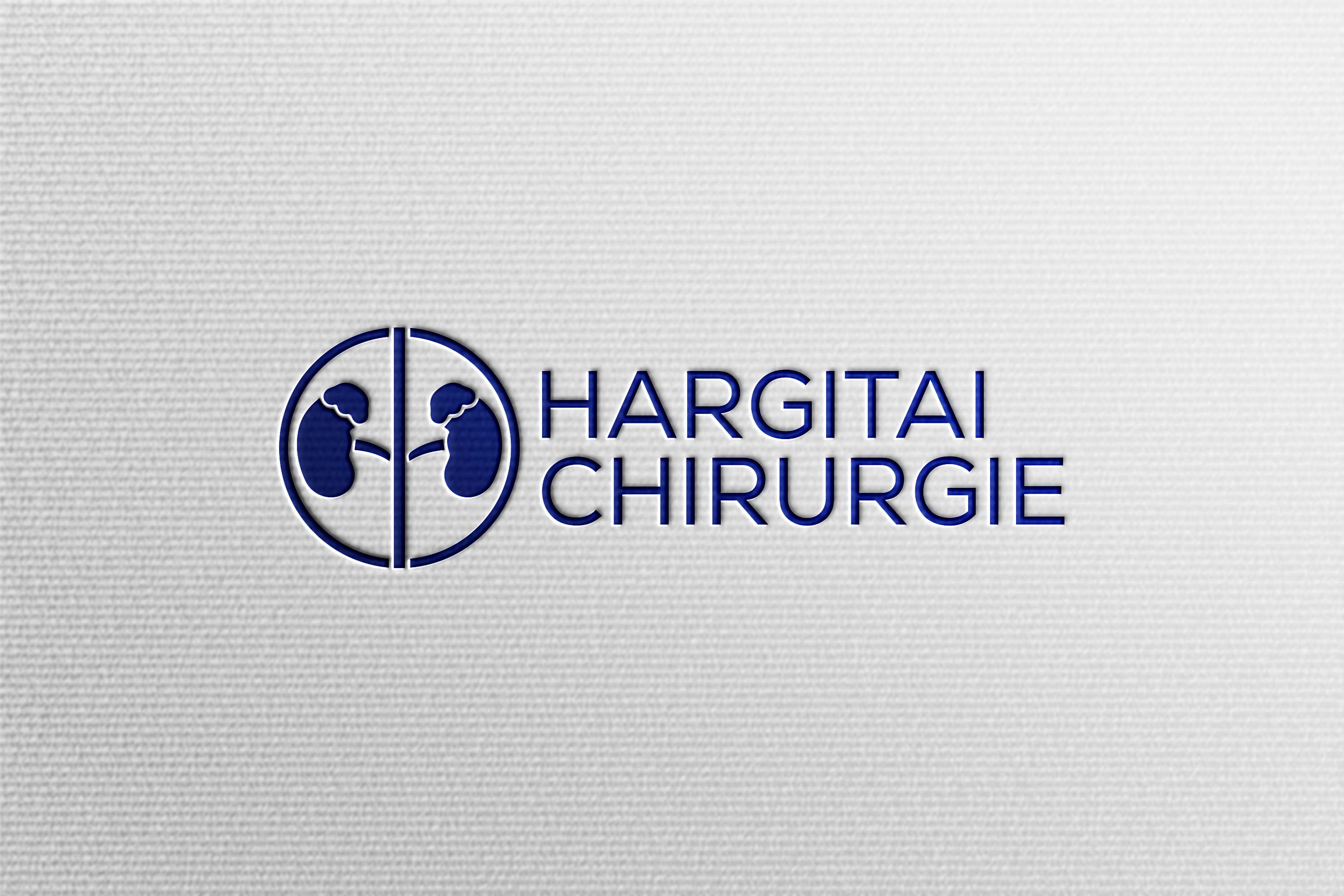 Logo Design by HaveTake for this project | Design #36871215