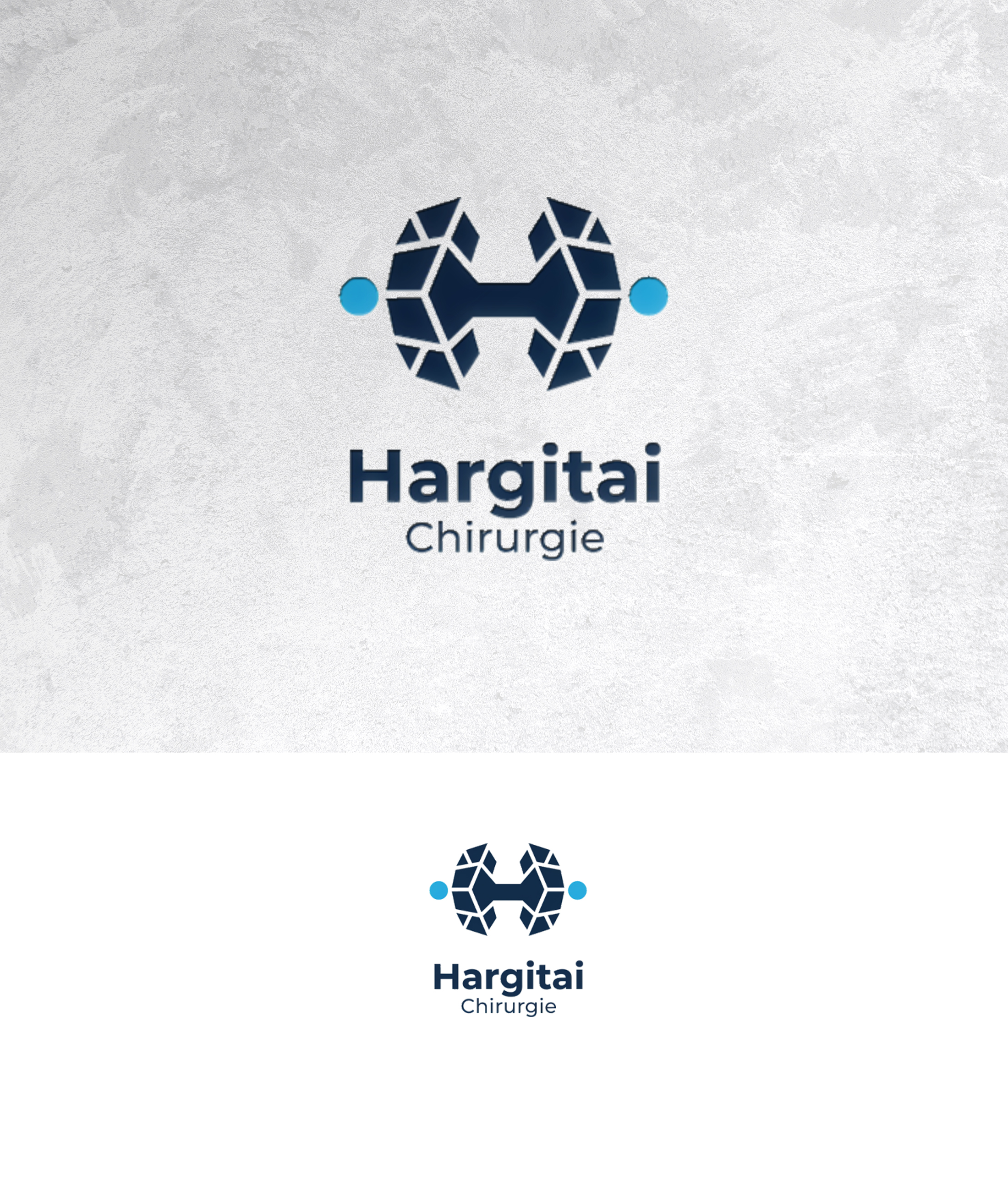 Logo Design by sonu.CR for this project | Design #36880099
