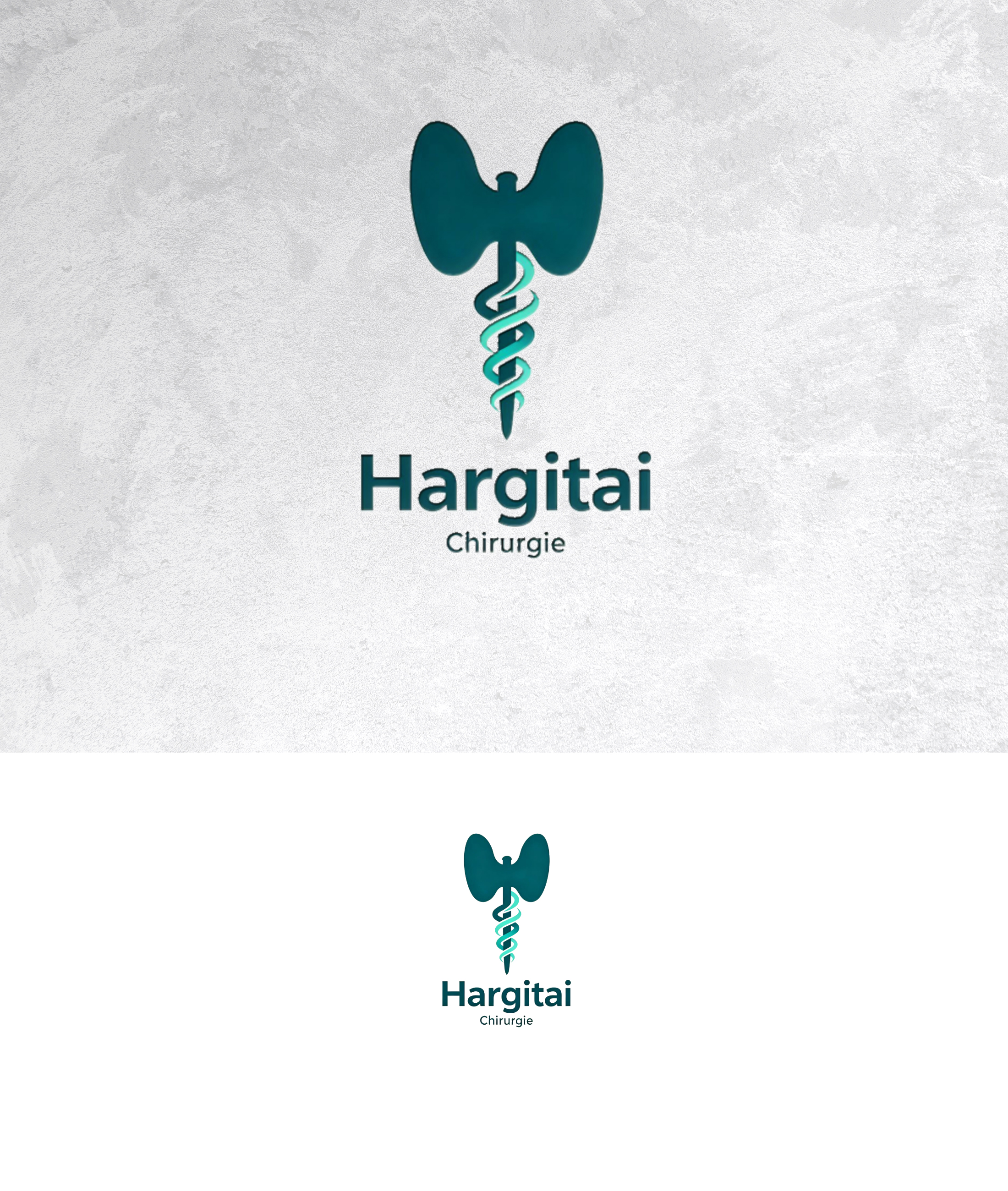 Logo Design by sonu.CR for this project | Design #36880100