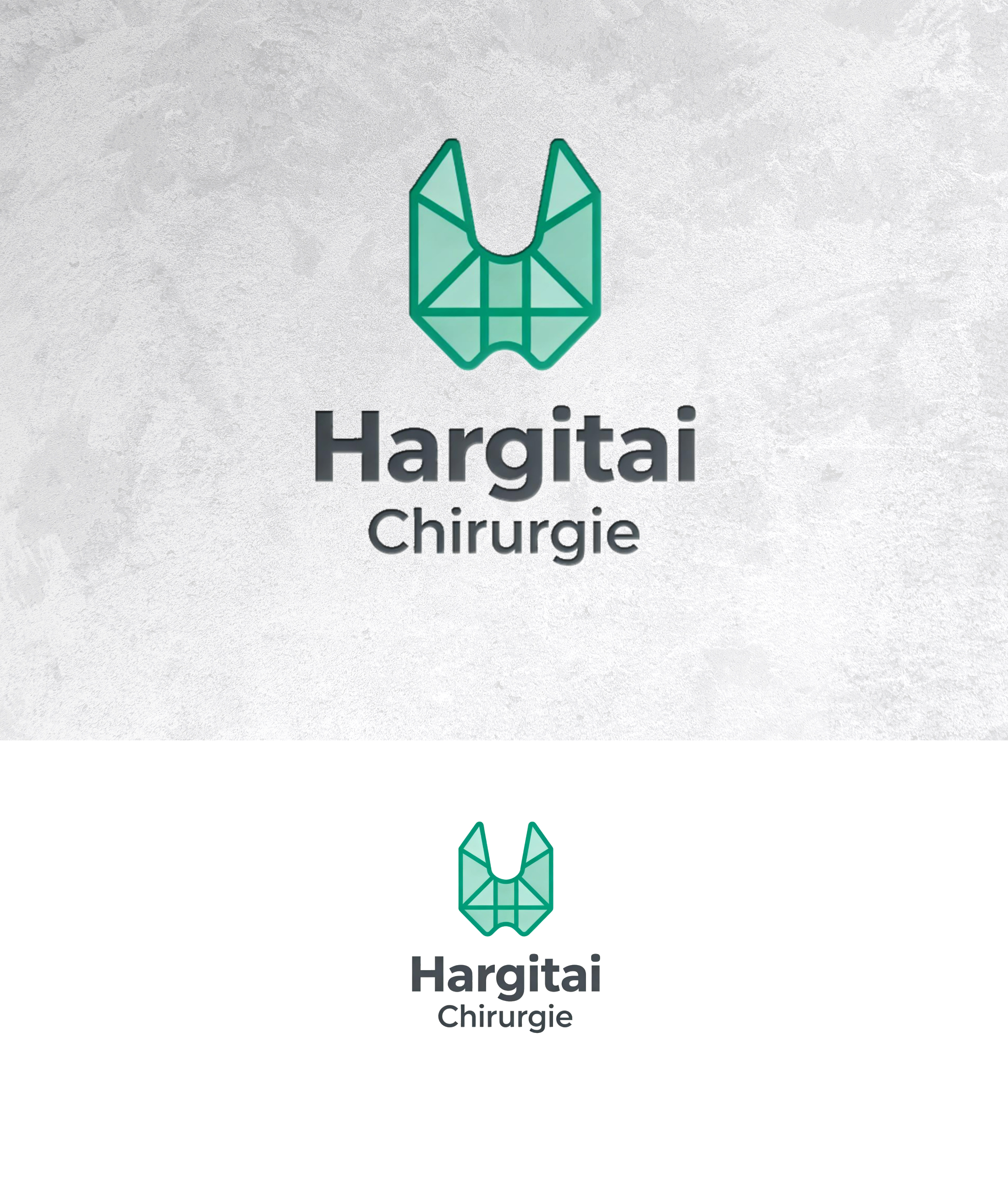 Logo Design by sonu.CR for this project | Design #36880103