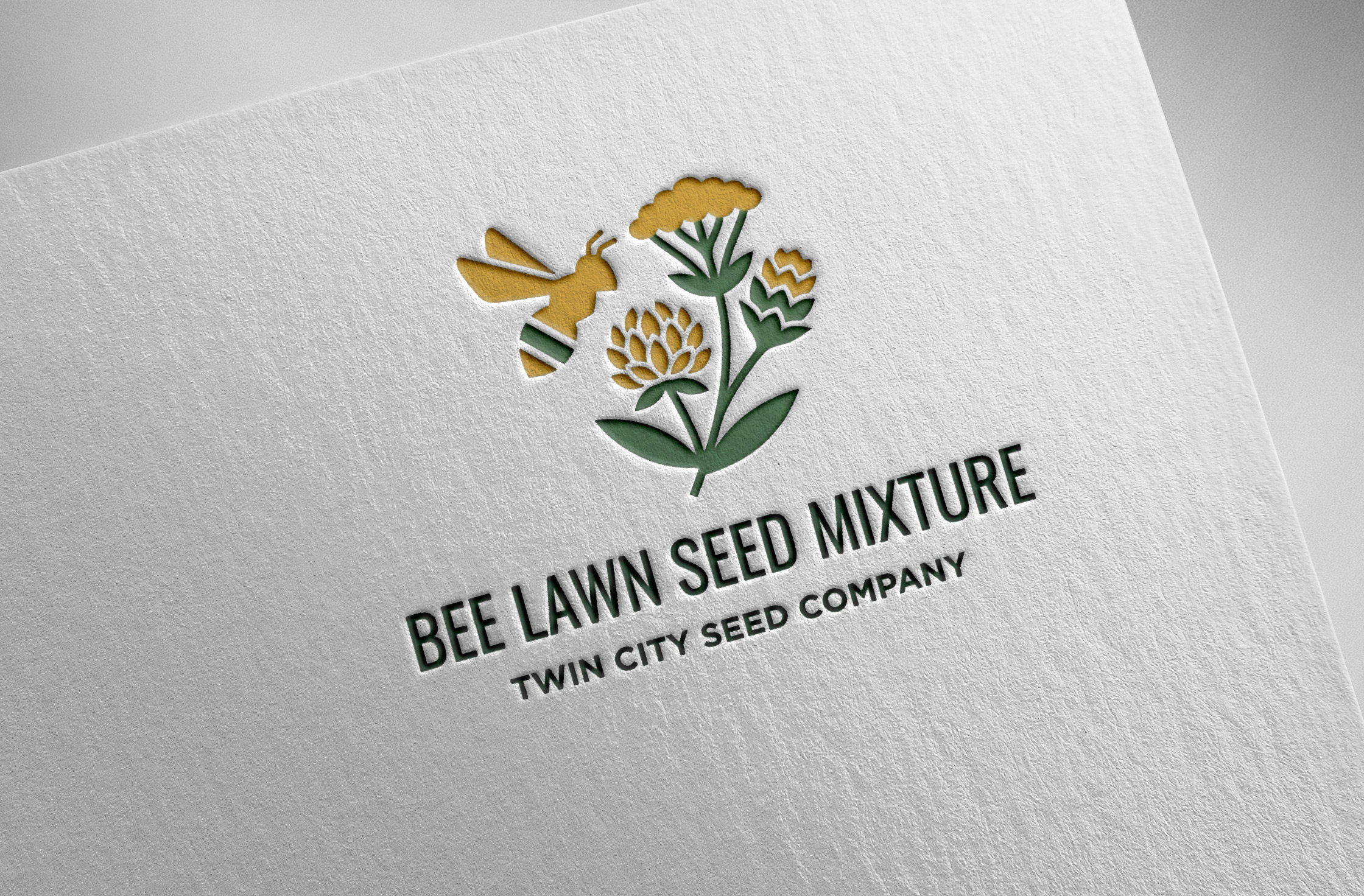 Logo-Design von Pilot_DesignR™ für dieses Projekt | Design #36971003