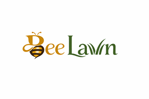 Diseño de Logo por echosaputro para este proyecto | Diseño: #36990658