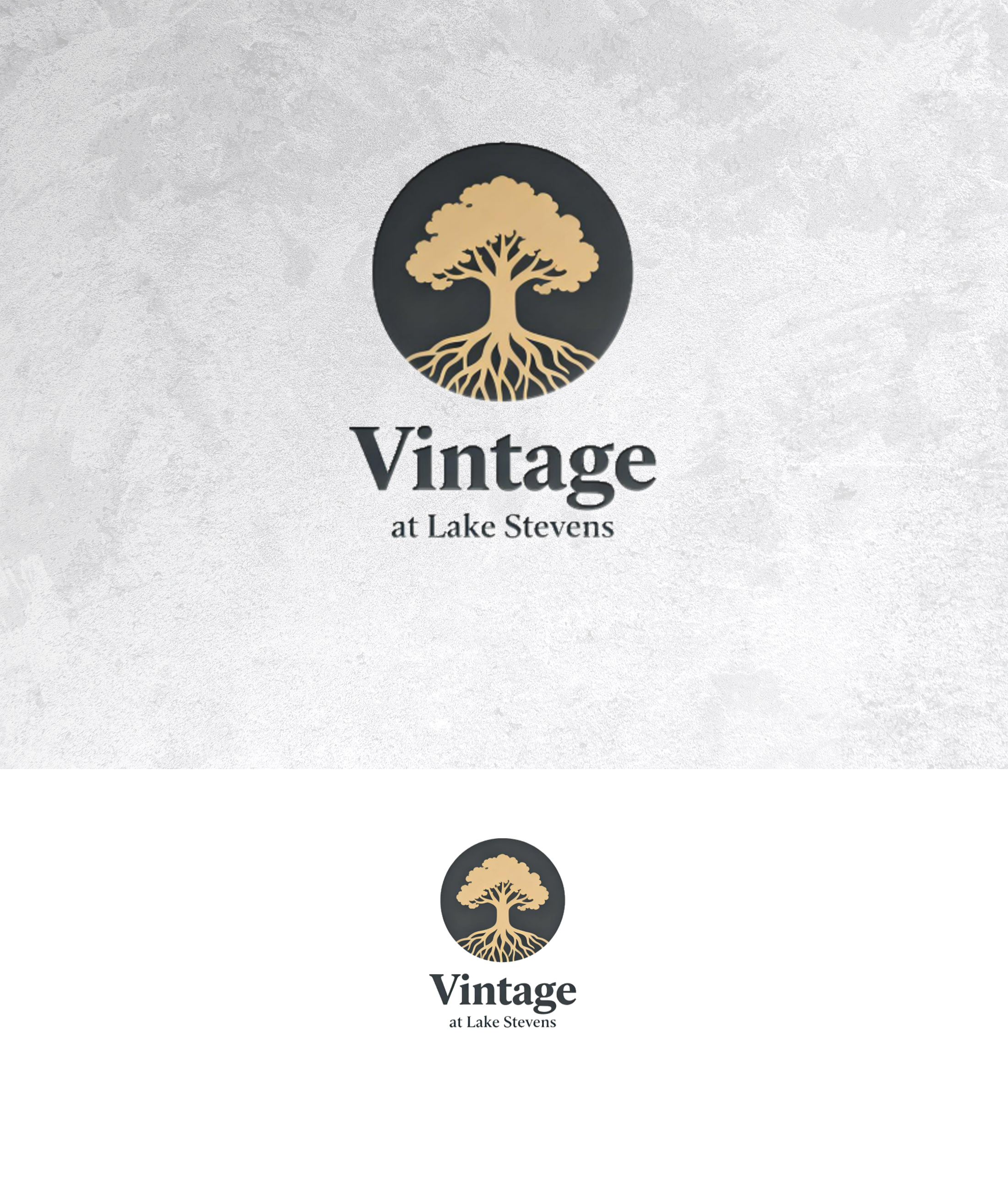 Diseño de Logo por sonu.CR para este proyecto | Diseño #36890150