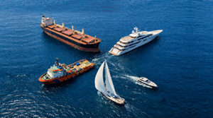 Graphic Design by Mozez32 for Finsulate | Design: #36874378