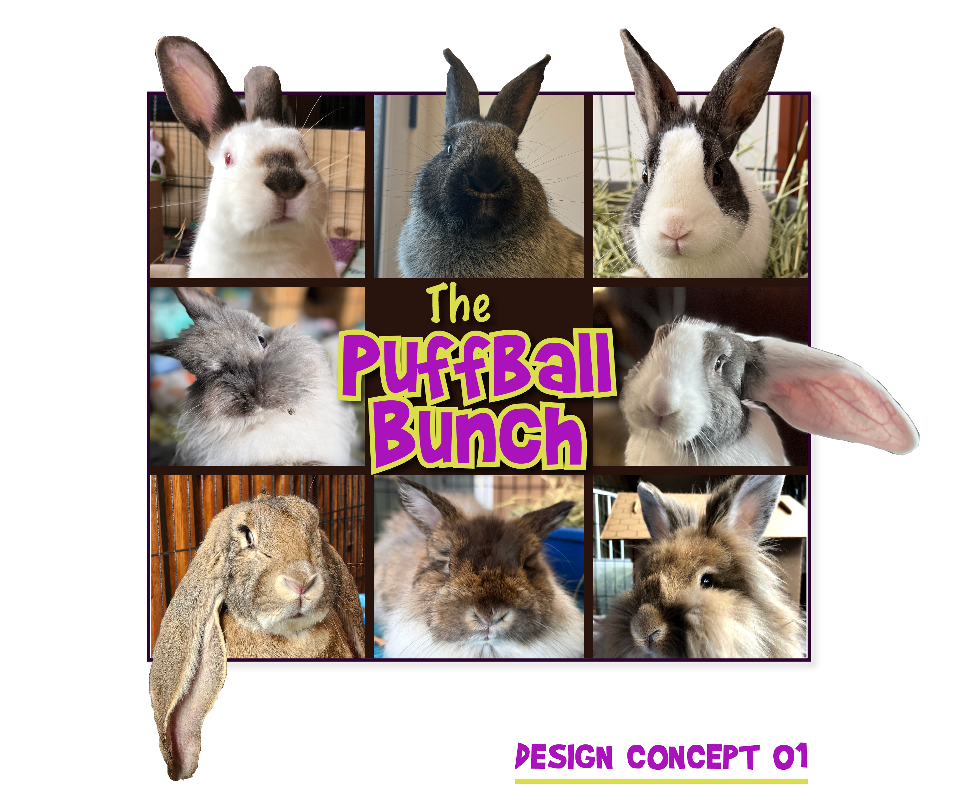 Design de T-shirt par Baklect Creative (PRO) pour ce projet | Design #36892806