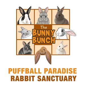 Design de T-shirt par Baklect Creative (PRO) pour ce projet | Design : #36896763