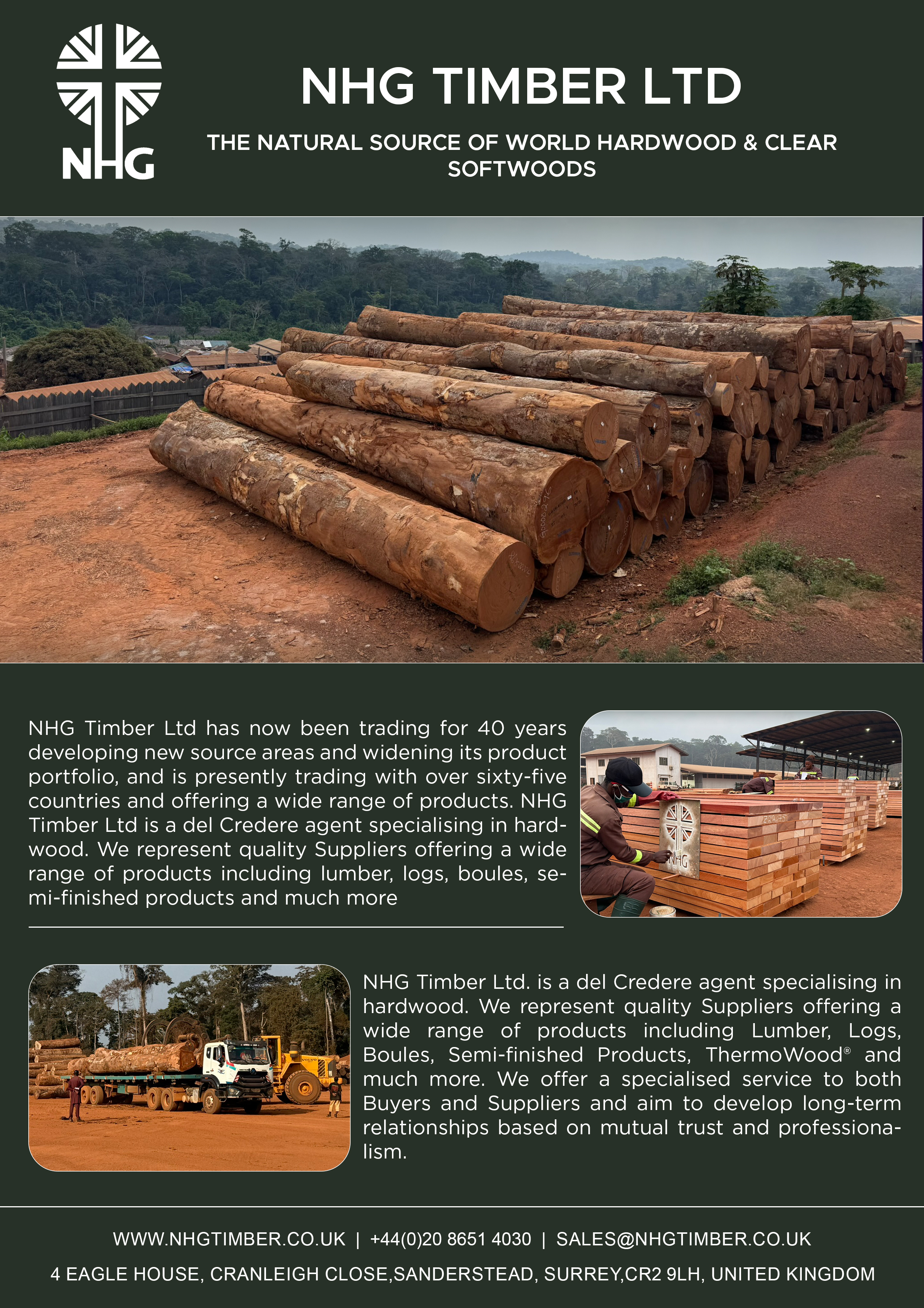 Diseño Publicitario por BEJIN para NHG Timber Ltd | Diseño #36916043
