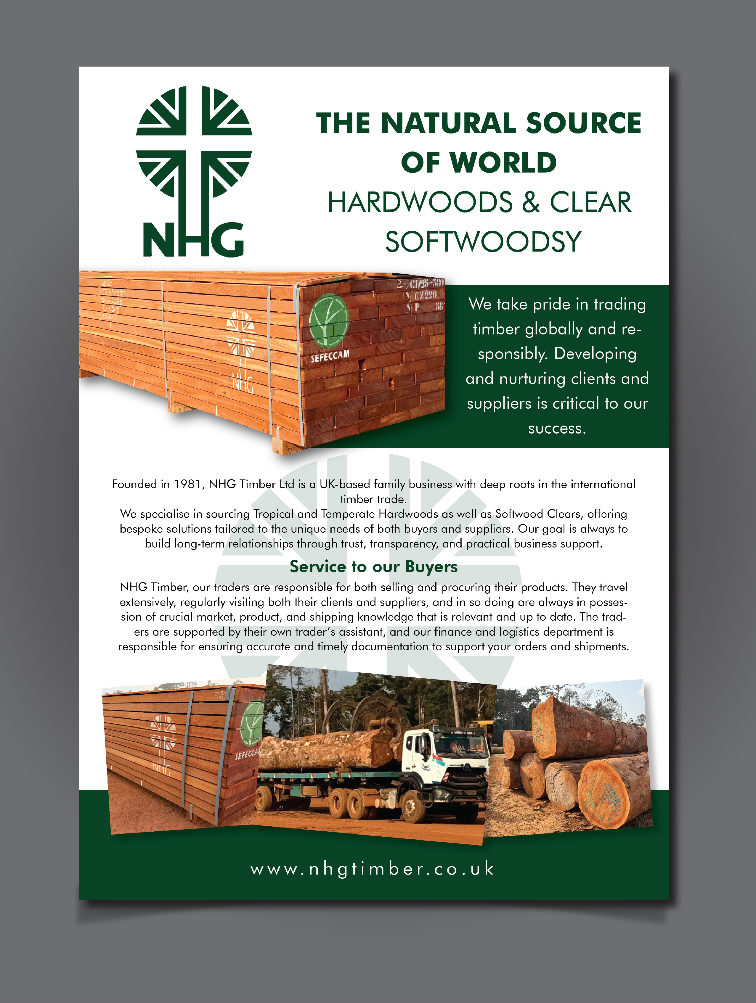 Diseño Publicitario por HT Graphic para NHG Timber Ltd | Diseño #36915318